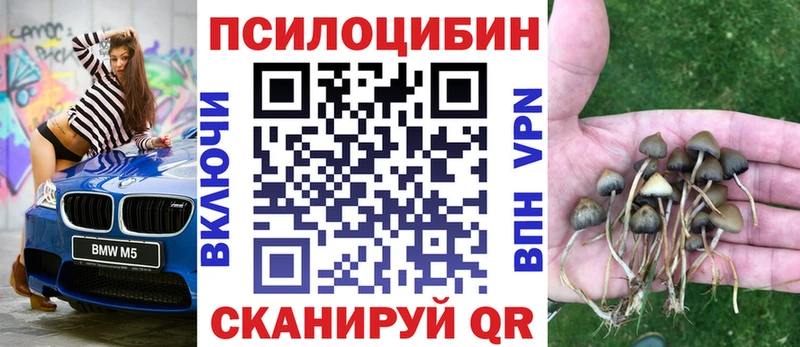 где можно купить   Староминская  это формула  Галлюциногенные грибы Psilocybe 